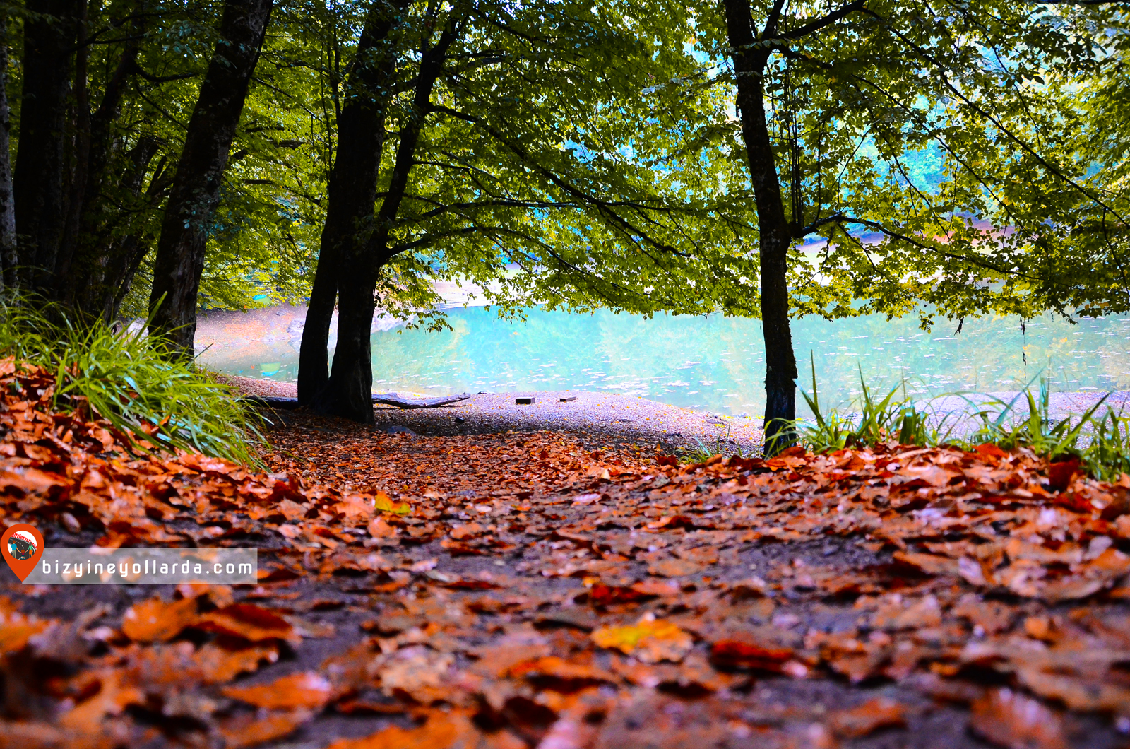 • Yedigöller, Abant ve Gölcük Randevu Uygulaması